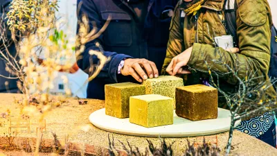biobased bouw